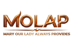 MOLAP FOUNDATION