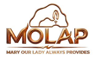 MOLAP FOUNDATION